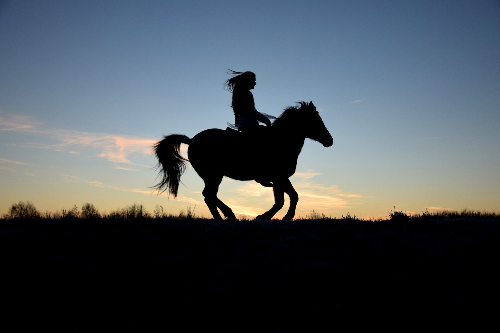 5-skills-to-train-your-horse-before-hitting-the-trails-the-broke-horseman