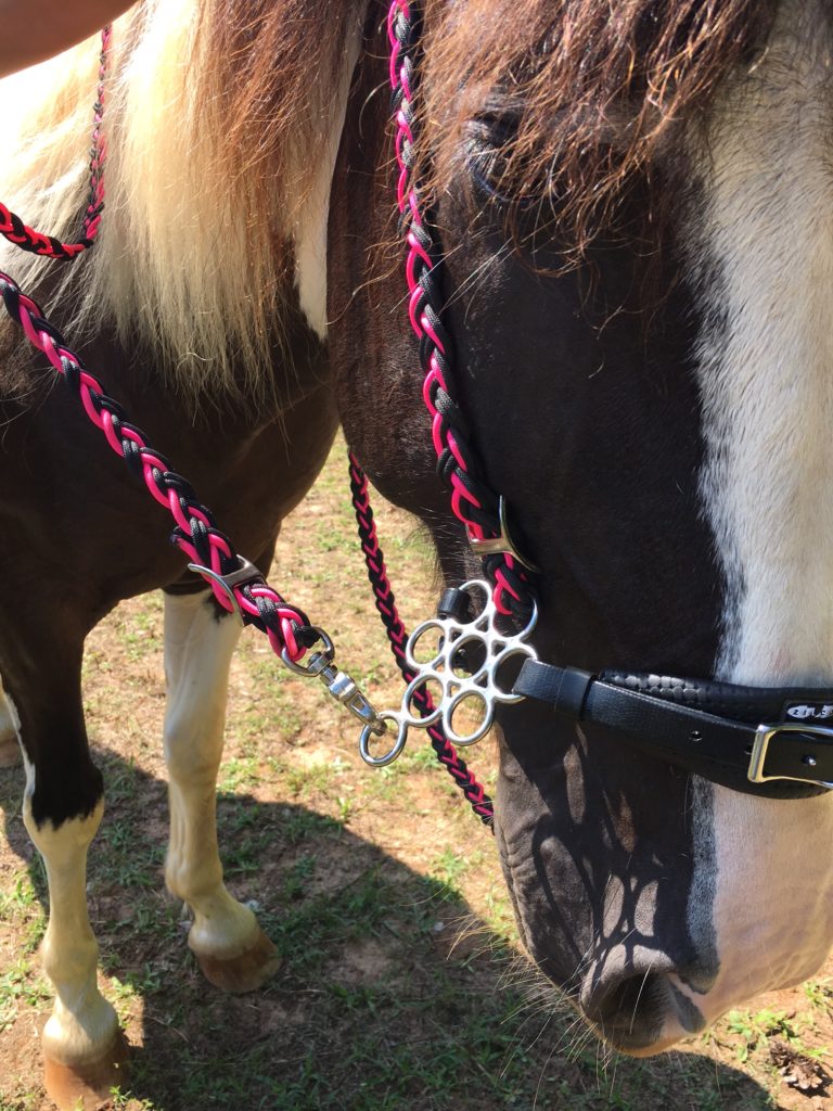 Little S Hackamore Vs. Flower Hackamore Bitless Review The Broke